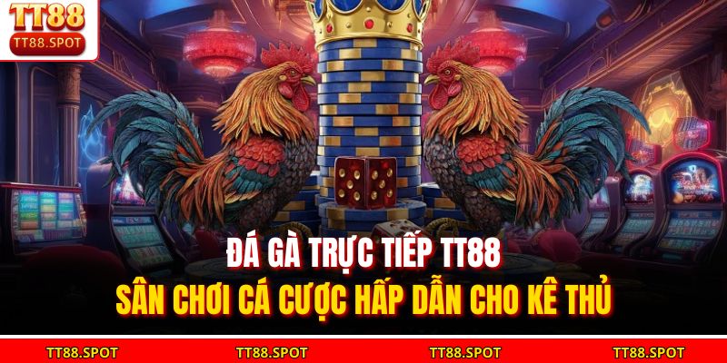 Đá Gà Trực Tiếp TT88 - Sân Chơi Cá Cược Hấp Dẫn Cho Kê Thủ