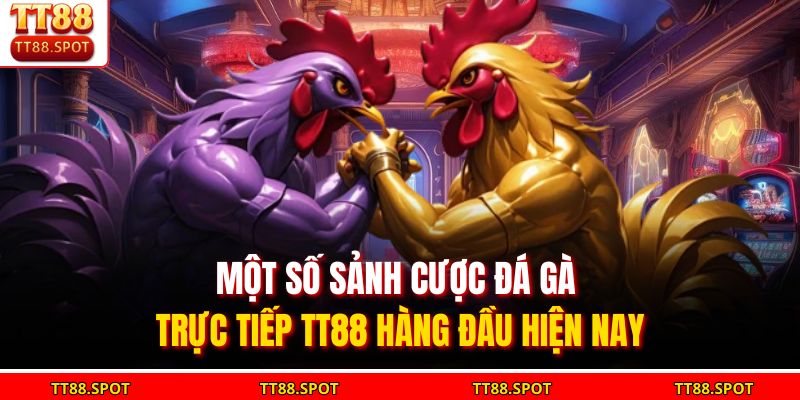 Đá Gà Trực Tiếp TT88 - Sân Chơi Cá Cược Hấp Dẫn Cho Kê Thủ