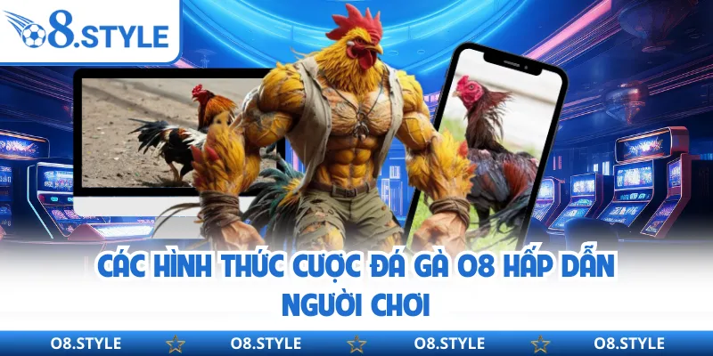 Đá Gà O8 - Sân Chơi Kịch Tính Với 500+ Trận Đấu Mỗi Ngày