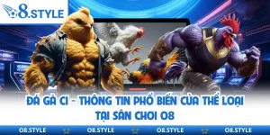 Đá Gà O8 - Sân Chơi Kịch Tính Với 500+ Trận Đấu Mỗi Ngày