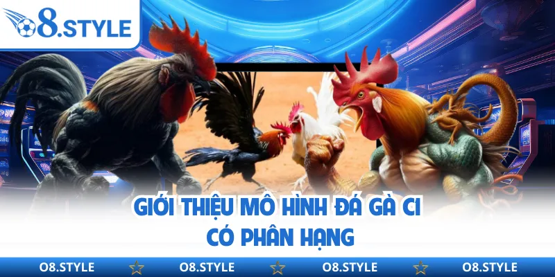 Đá Gà C1 - Thông Tin Phổ Biến Của Thể Loại Tại Sân Chơi O8