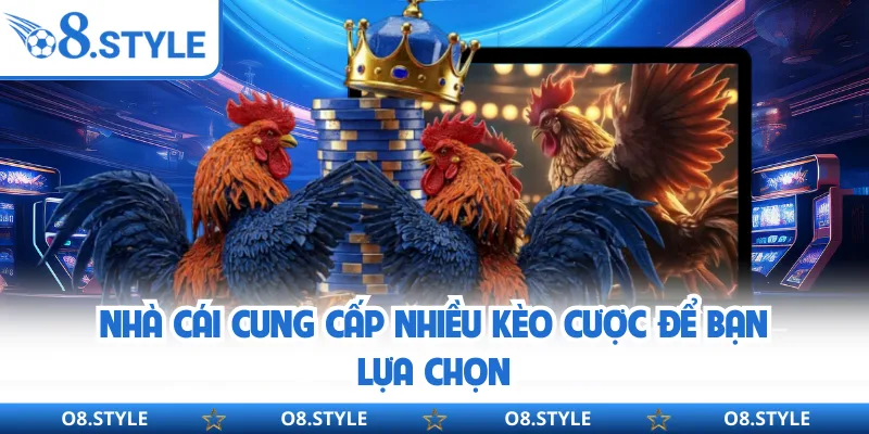 Đá Gà Cựa Dao - Bộ Môn Giải Trí Đổi Thưởng Kịch Tính Tại O8