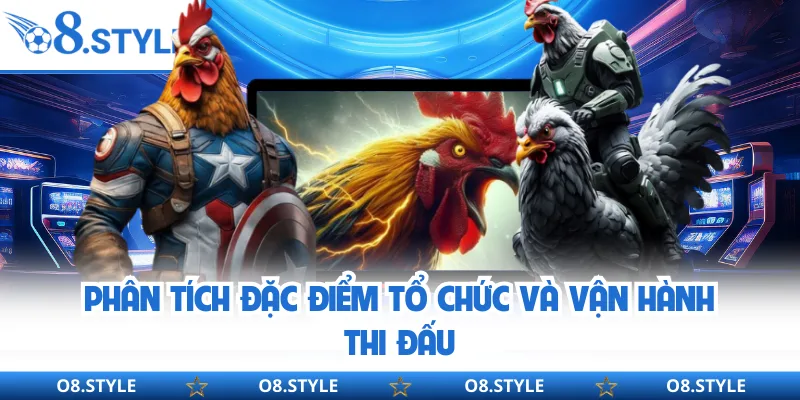 Đá Gà Thomo - Không Gian Giải Trí Truyền Thống Hiện Đại