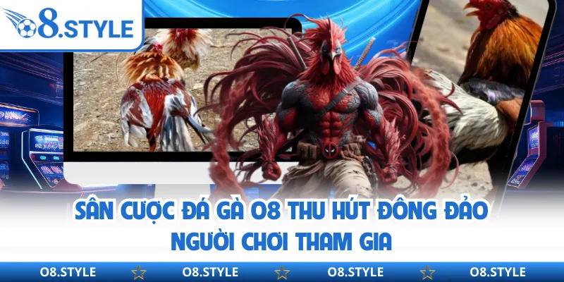 Đá Gà O8 - Sân Chơi Kịch Tính Với 500+ Trận Đấu Mỗi Ngày