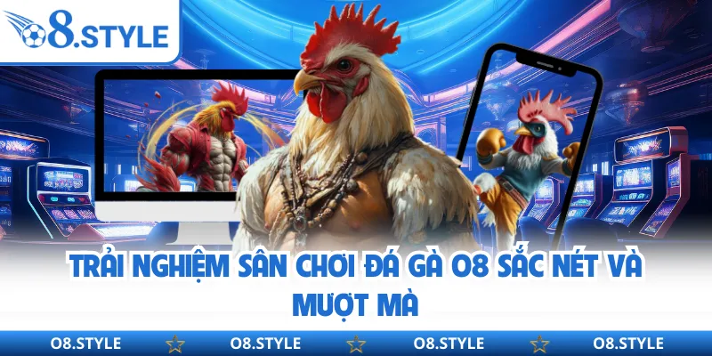 Đá Gà O8 - Sân Chơi Kịch Tính Với 500+ Trận Đấu Mỗi Ngày